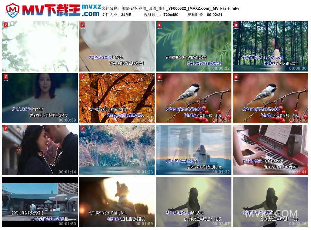 焦鑫-记忆停留_国语_流行_YF600622